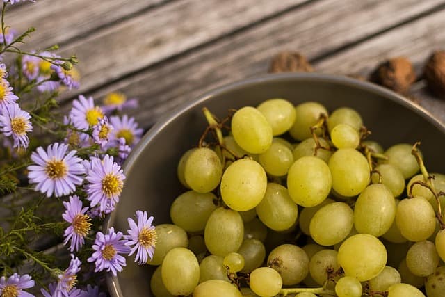 Les Secrets d'un Gâteau Maison Avec Fruits de Saison